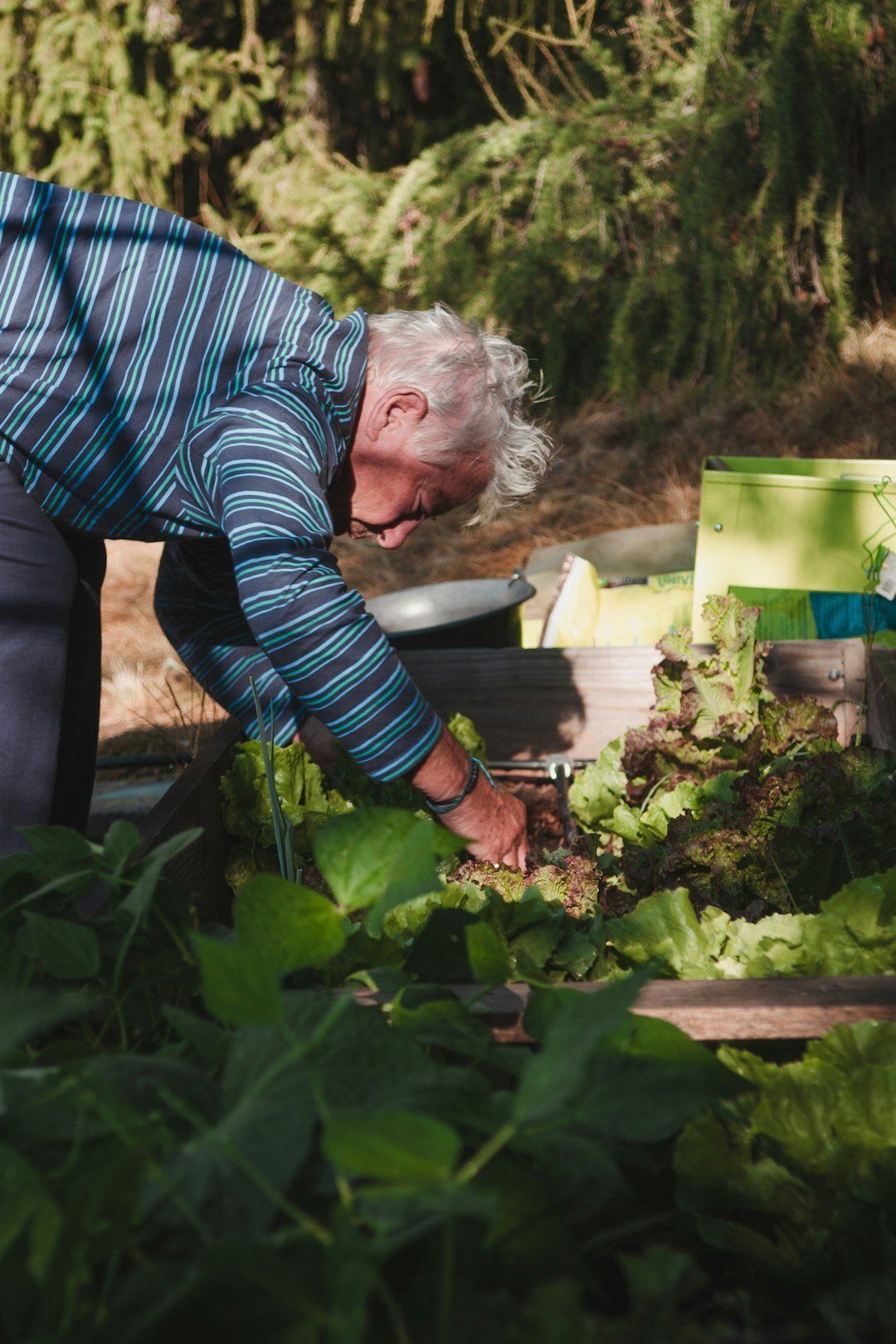 elderly woman in garden